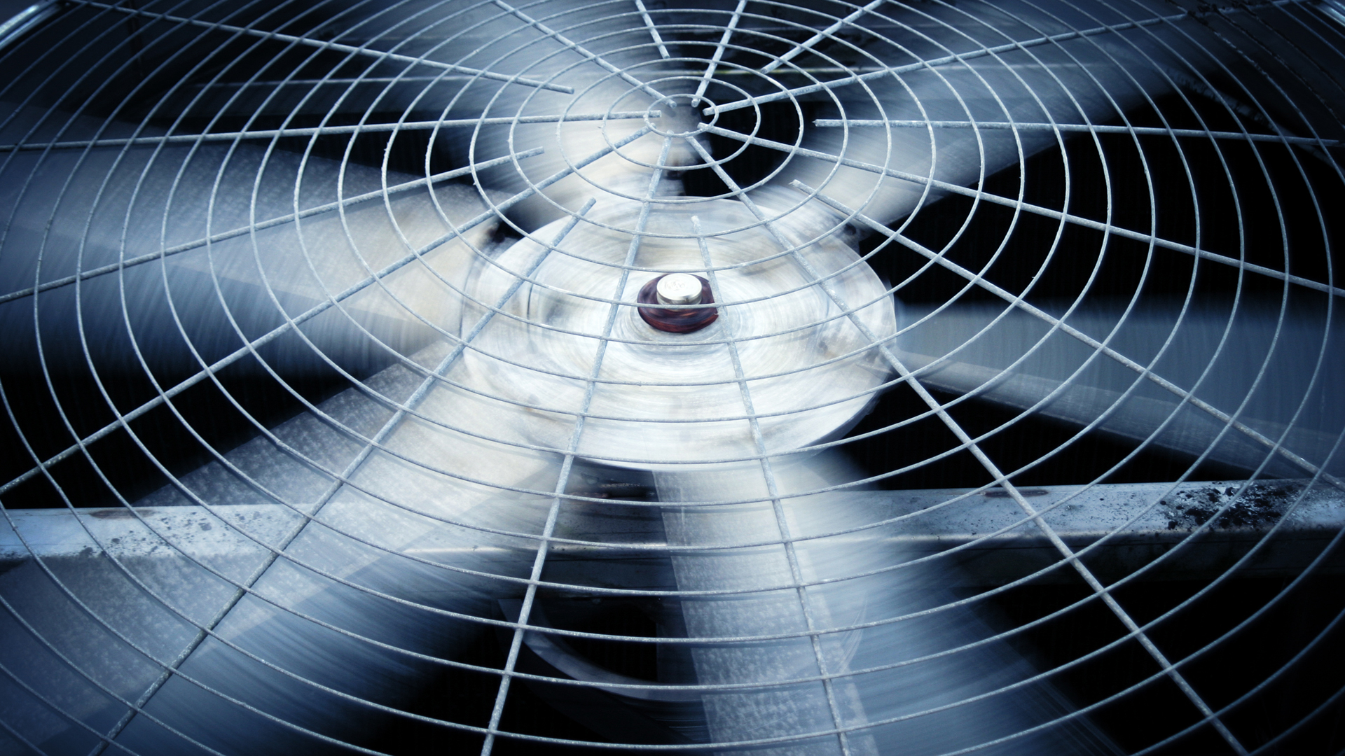 A Day in the Life of an Engineering Maverick