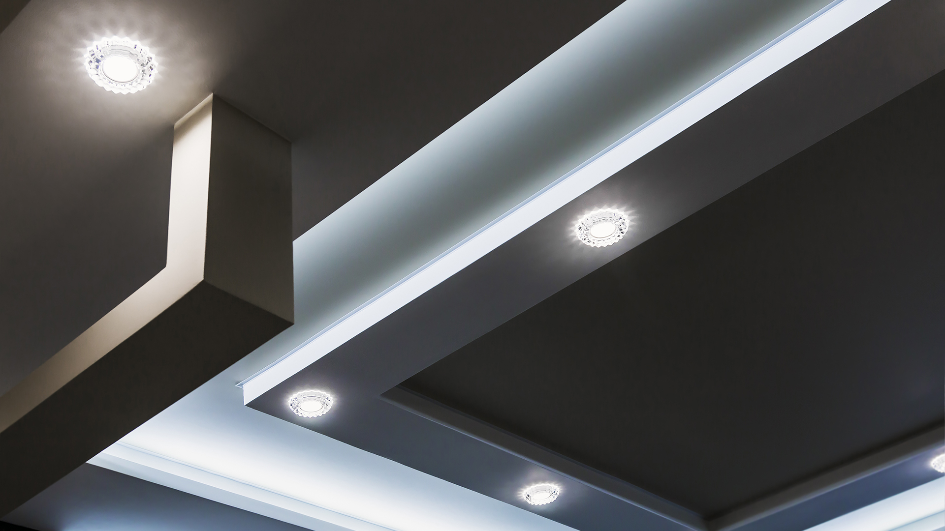 A Day in the Life of an ME’s journey from the Speed of Light to Lights